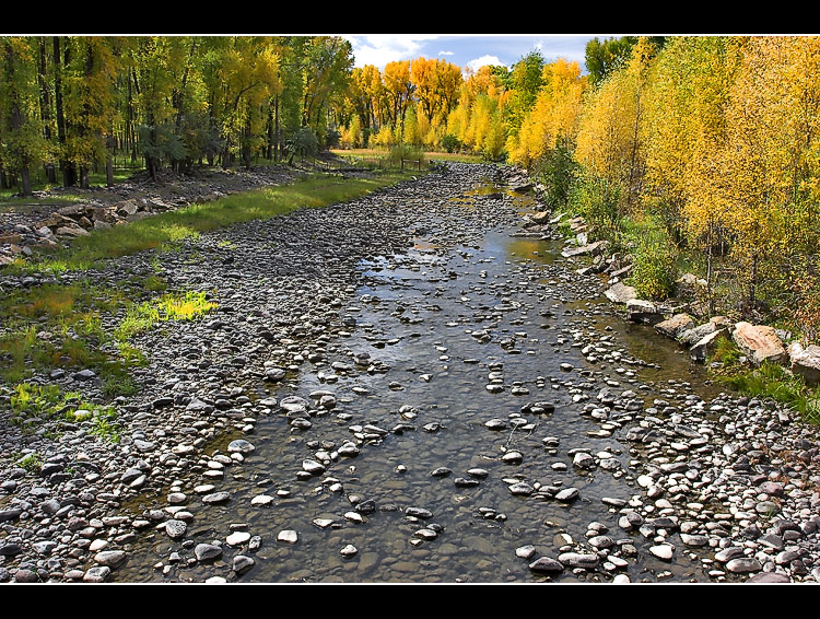 Color at Streamside
