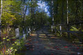 Path
