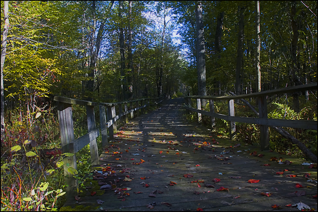 Path