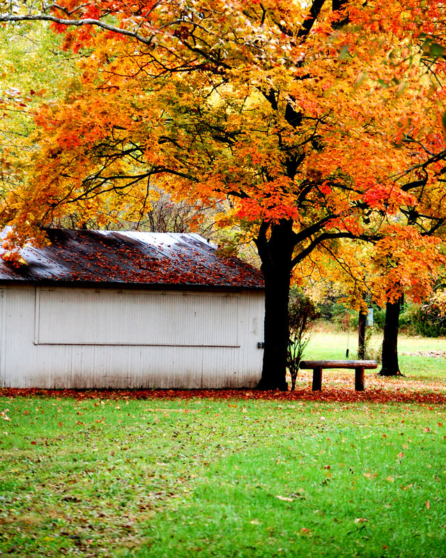 Barn in Autumn