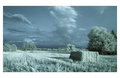 Field
