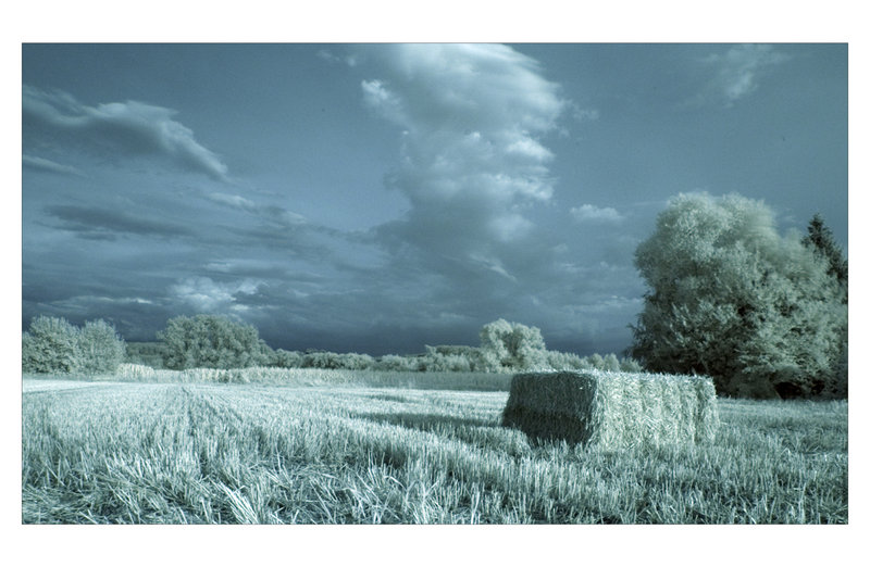 Field