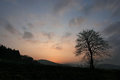 Soft Morning (horizontal)