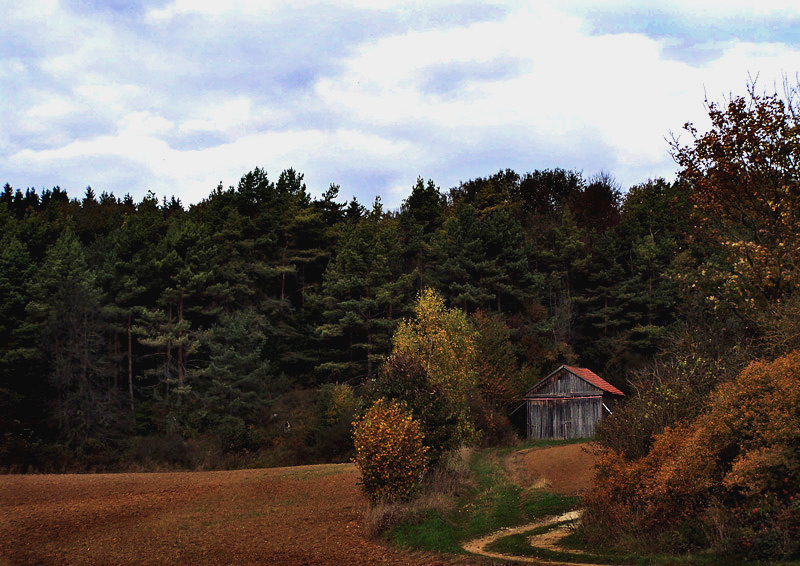 Small Barn - Fall in Bavaria