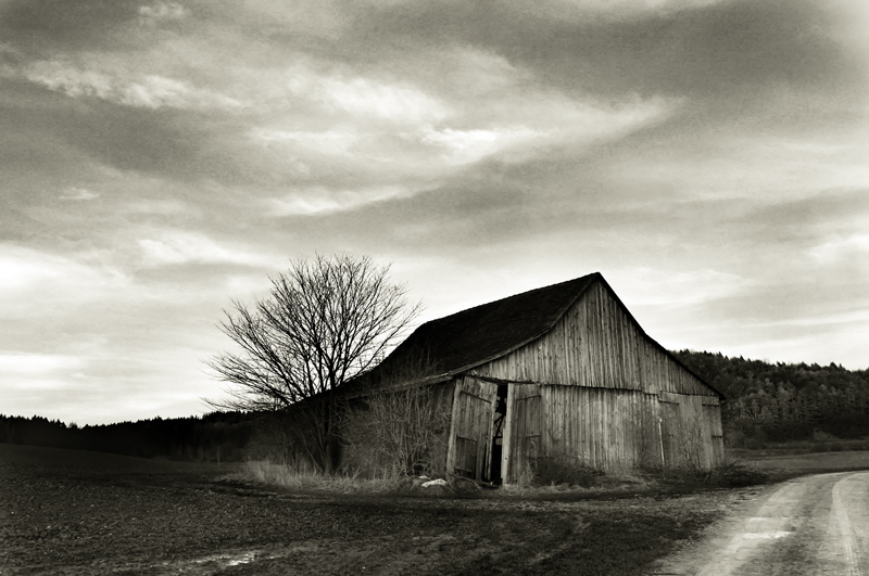 barn3_toned.jpg