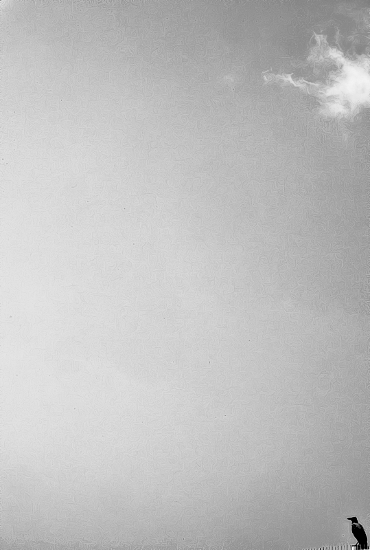 31/52 -  floating away