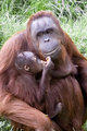 Mother and son