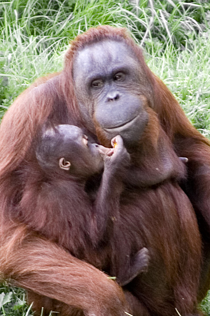 Mother and son