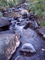 Cedar Creek.JPG