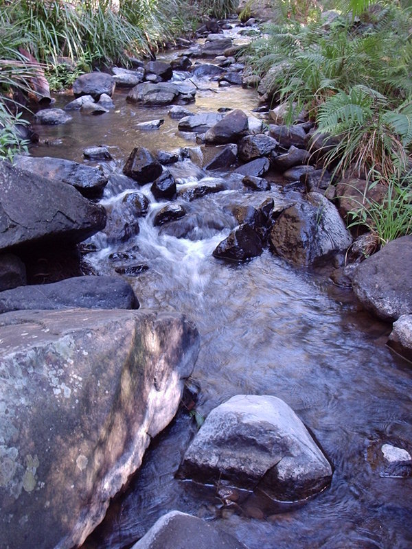 Cedar Creek.JPG