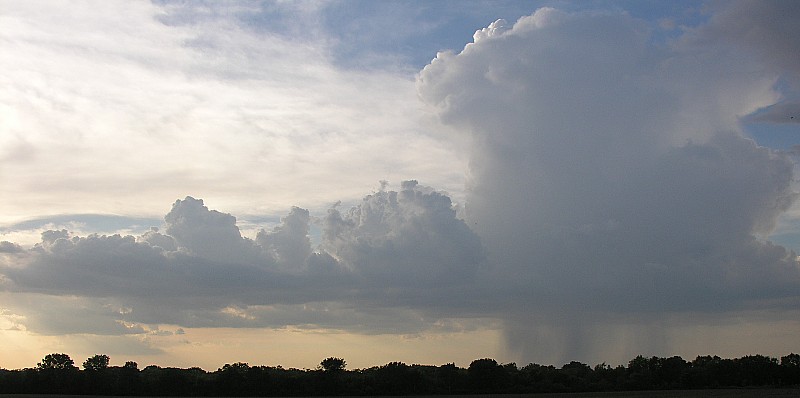 Summer Storm