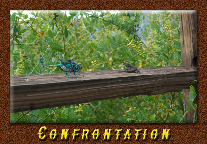 Confrontation