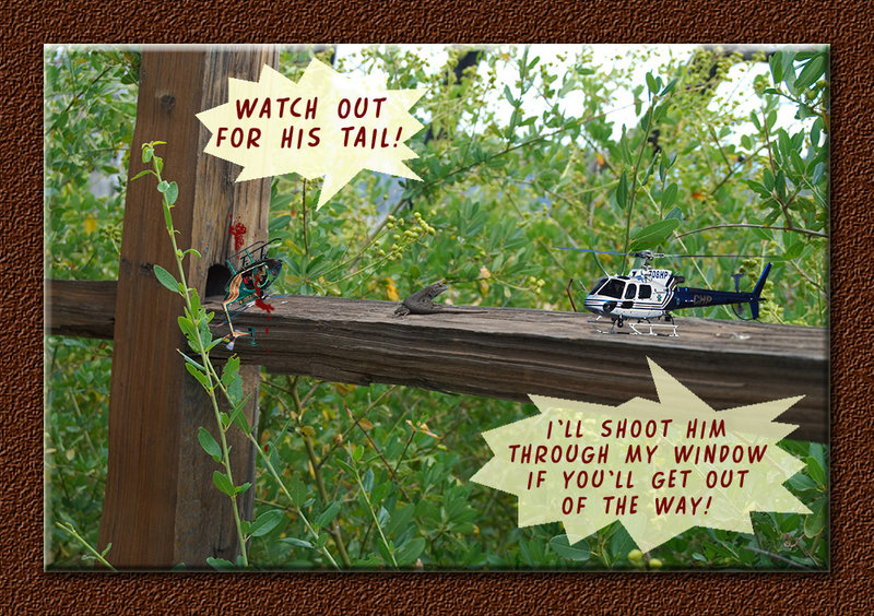 Lizzard War