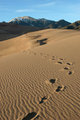 Footprints In The Sand