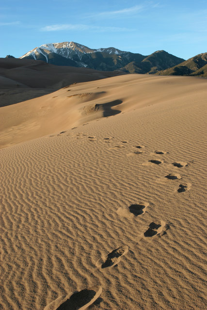 Footprints In The Sand