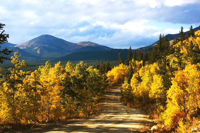 Boreas Pass In Fall