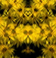 rorschach daisies