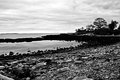 Salt Pond