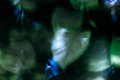 fluidity 1