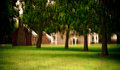 Gunston Hall