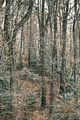 mother nature, unkempt