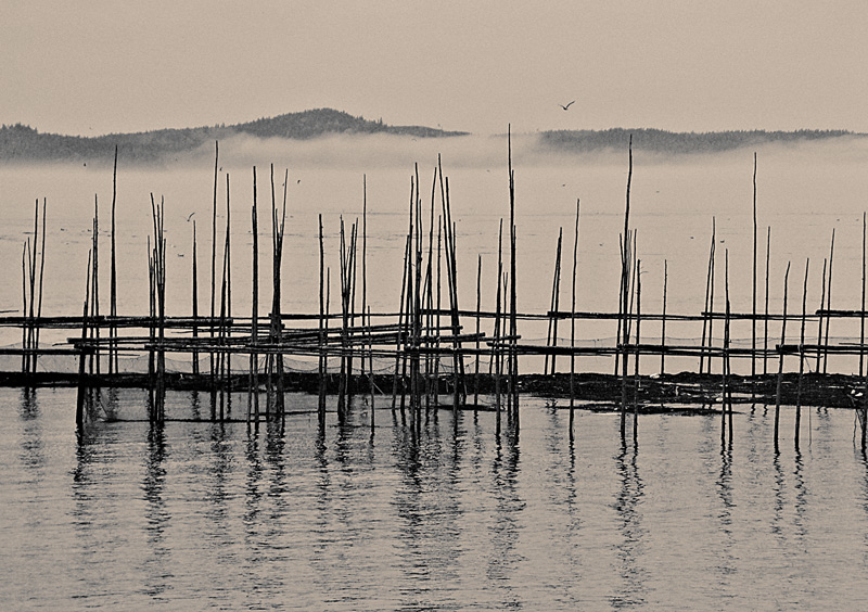 fishing weir warm toning