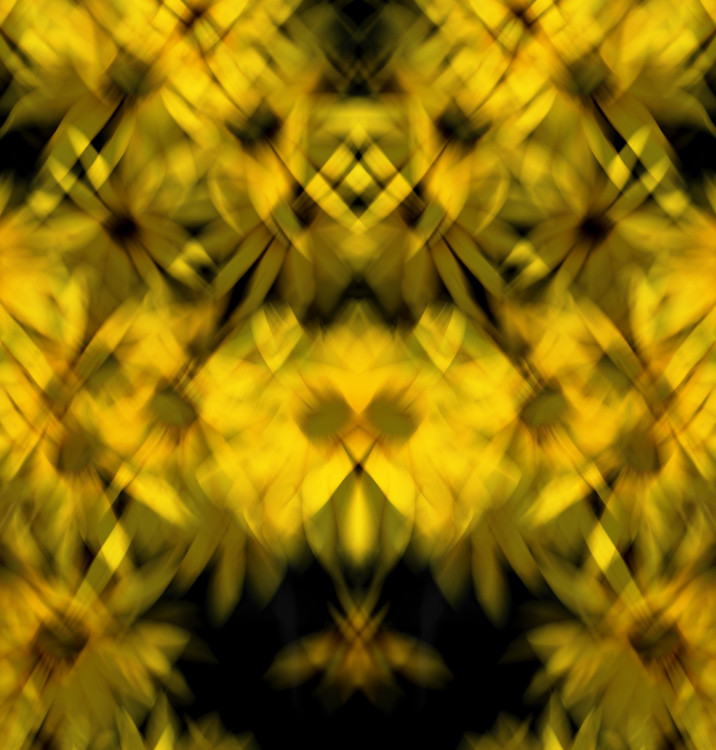 rorschach daisies