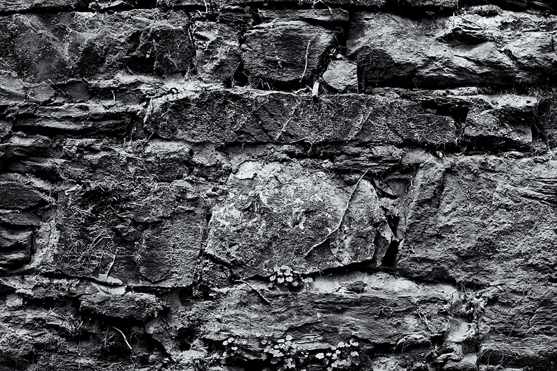 wall