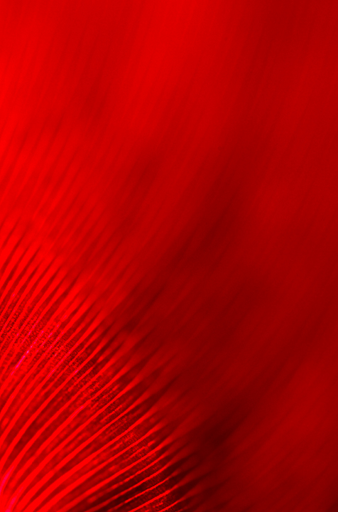 aflame