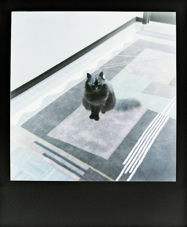 Polaroid Spirit 600_01