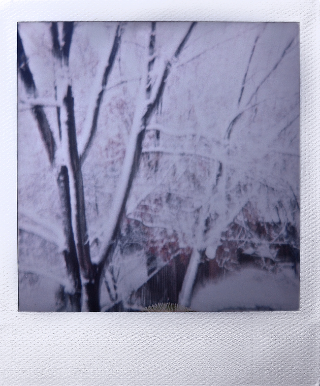 Polaroid Spirit 600_02