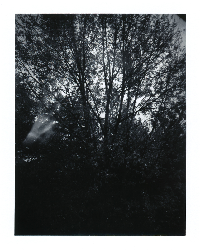 Polaroid Propack_01