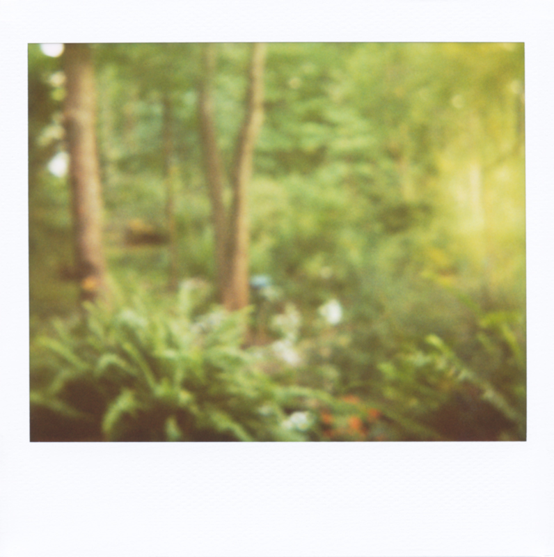 Polaroid Spectra_02