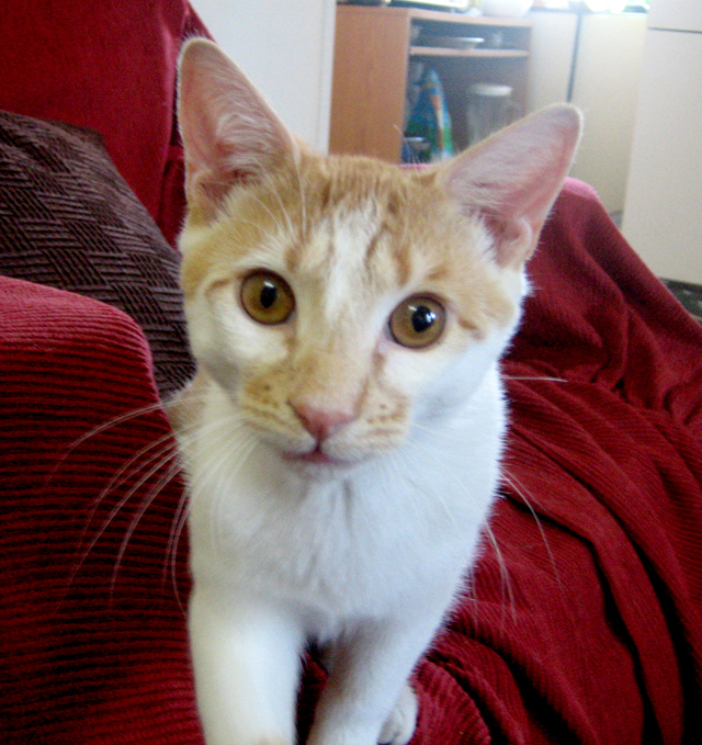 Hi there!