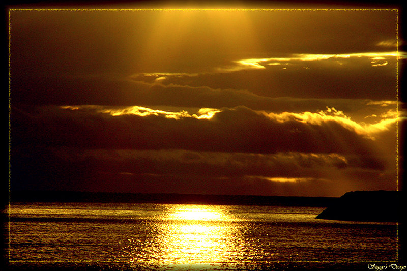 The Golden Shower