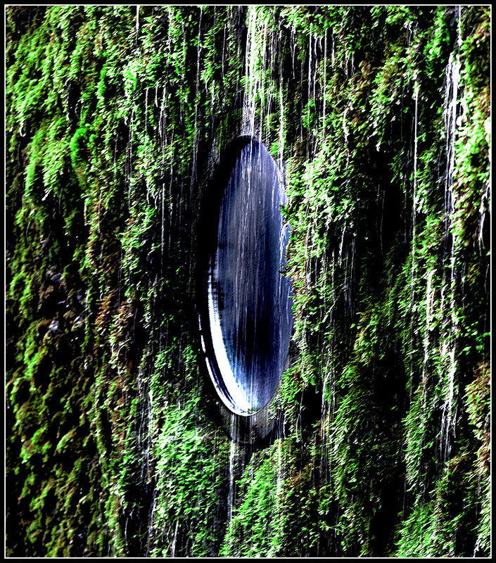The Window