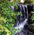 Waterflow