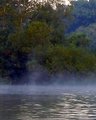 Steamy Cool Morning
