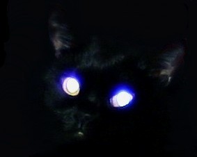 The Eyes Have It.jpg