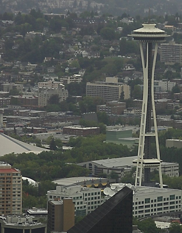 To Spy the Needle
