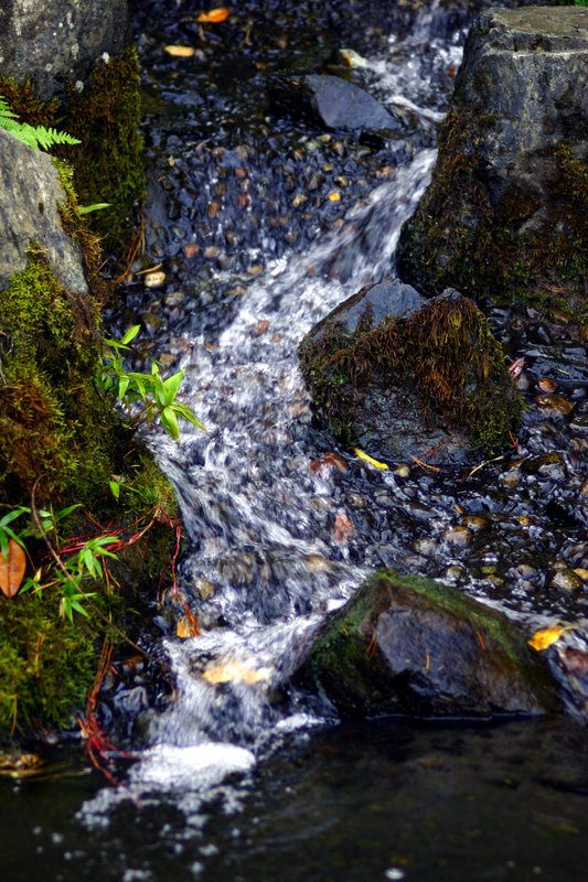 Water, like Time, always flow