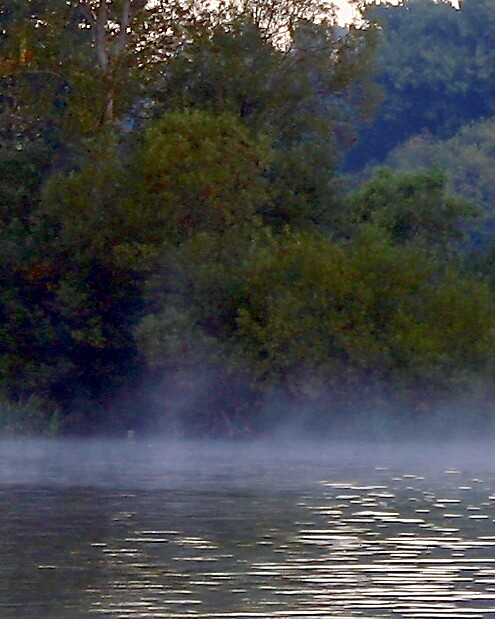 Steamy Cool Morning