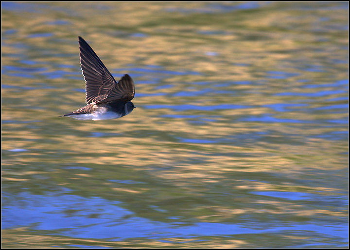 1-640s.iso640.f6.3.400mm.IMG_0223-Edit.jpg
