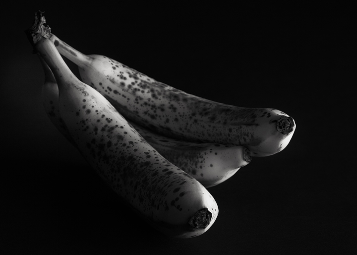 09.19.2009.jpg