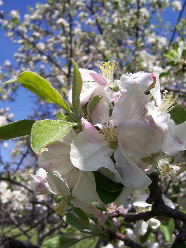 100_7555.JPG