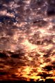peace park sunset 2