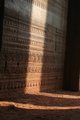morning shadows.JPG