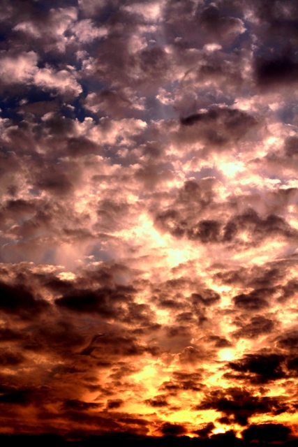 peace park sunset 2