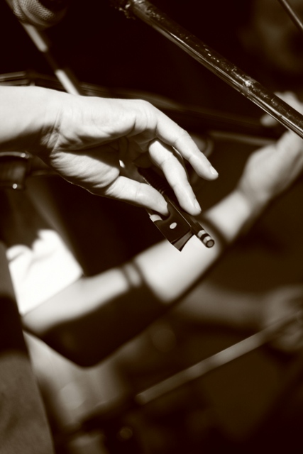 the fiddler 2 (outtake)