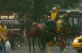 Rainy Street Scene